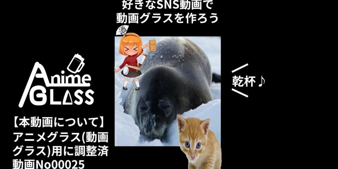 縦動画アニメ　動画グラス用の縦長動画(子ネコと赤ちゃんアザラシと子犬の長編動画バージョン約5分）。動画グラスの作成時にご利用下さい