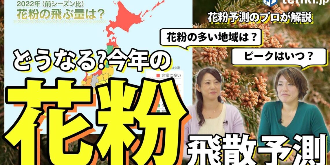 【花粉】今年の花粉の傾向は？ピークの時期はいつ？おすすめの外出時間も解説！