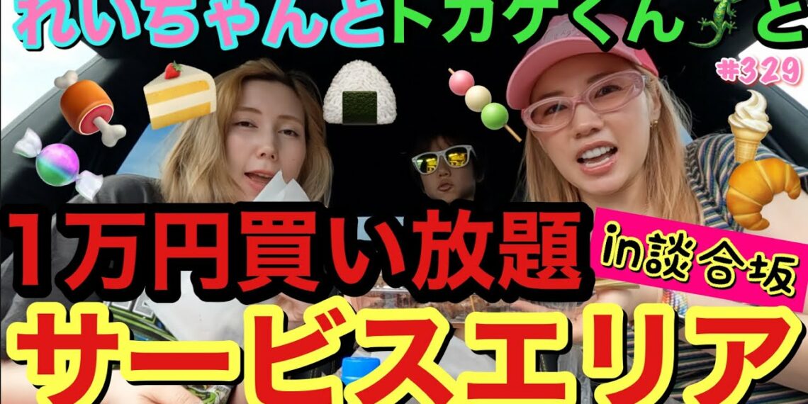 トカゲくんとれいちゃんと行きつけサービスエリアで1万円買い放題企画したけど5秒で諭吉消え去って草
