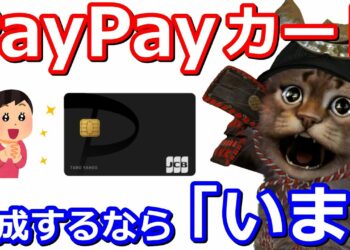 PayPayカードを「今」作るとお得な3つの理由について解説