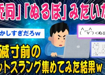 【2ch面白いスレ】「禿同」「ぬるぽ」みたいな絶滅寸前のネットスラング集めてみた結果ww【ゆっくり解説】