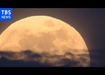「スーパームーン皆既月食」5月26日の映像 Total lunar eclipse/ JAPAN